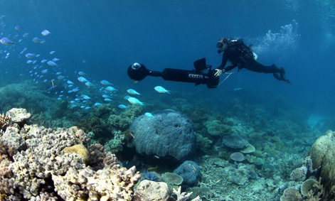 A team member of the Catlin Seaview Survey works to capture the Great Barrier Reef.