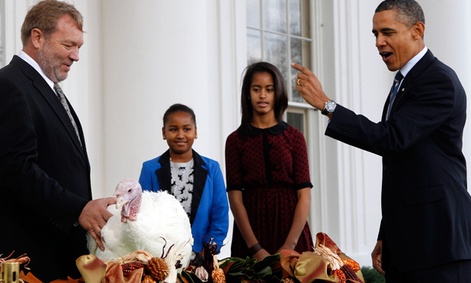President Barack Obama pardons a turkey in 2011. President Barack Obama pardons a turkey in 2011.