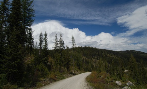 The Forest Service owns and manages many national forests, including Montana's Lolo National Forest . The Forest Service owns and manages many national forests, including Montana's Lolo National Forest .