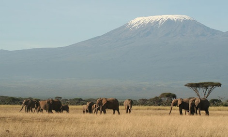 Tanzania's Mount Kilimanjaro is one of the peaks photographed by Google's Street View. Tanzania's Mount Kilimanjaro is one of the peaks photographed by Google's Street View.