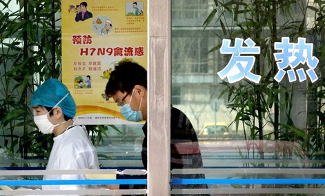 A nurse escorts a man to take a blood test at a specialized fever clinic inside the Ditan Hospital, where a Chinese girl has been admitted for the H7N9 strain of bird flu, in Beijing. A nurse escorts a man to take a blood test at a specialized fever clinic inside the Ditan Hospital, where a Chinese girl has been admitted for the H7N9 strain of bird flu, in Beijing.