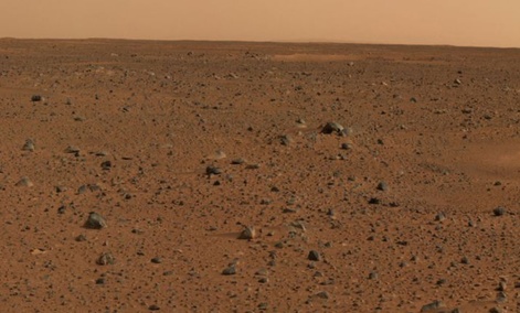 According to a man in Florida, this is where life began. According to a man in Florida, this is where life began.
