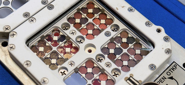 The algae samples aboard the ISS. The algae samples aboard the ISS.