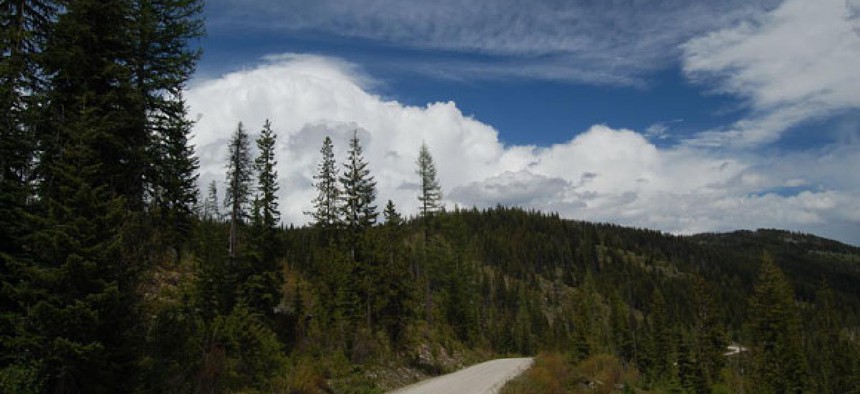 The Forest Service owns and manages many national forests, including Montana's Lolo National Forest .