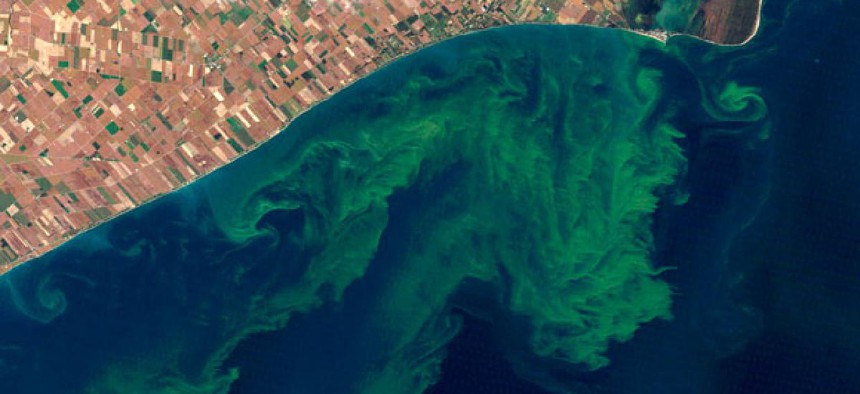 This NASA satellite photo shows algae blooms swirling on Lake Erie.