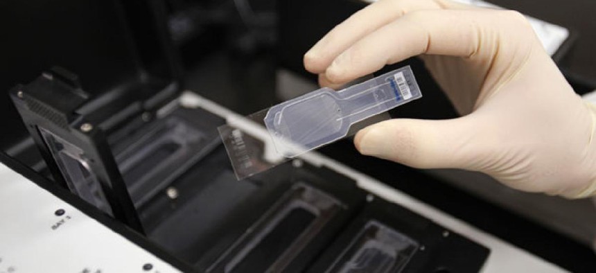 A biologist holds a slide prepared for testing in the micro array for biological hazards.