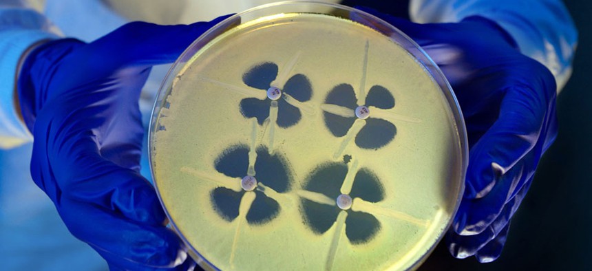 A CDC scientist holds up a petri dish during an experiment involving Carbapenem-resistant Enterobacteriaceae.