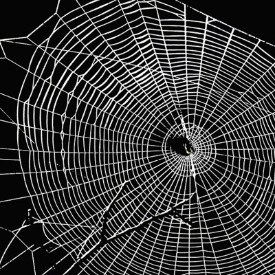 Dark Web 101: What Feds Need to Know About the Underbelly of the ...