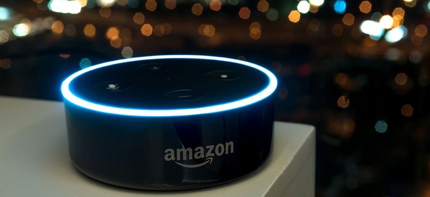 Amazon's Alexa won't be alone anymore.