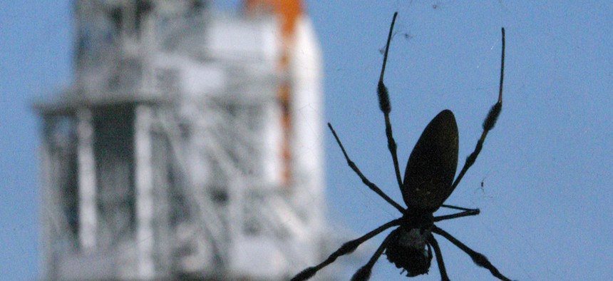 Spiders hang from their web near the Space Shuttle Atlantis on Pad 39B at the Kennedy Space Center in Cape Canaveral, Fla., Monday, Aug. 28, 2006. 