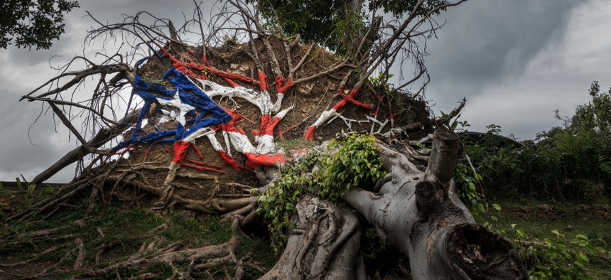 A tree uprooted by Hurricane Maria in San Juan has been painted like the Puerto Rico flag. 