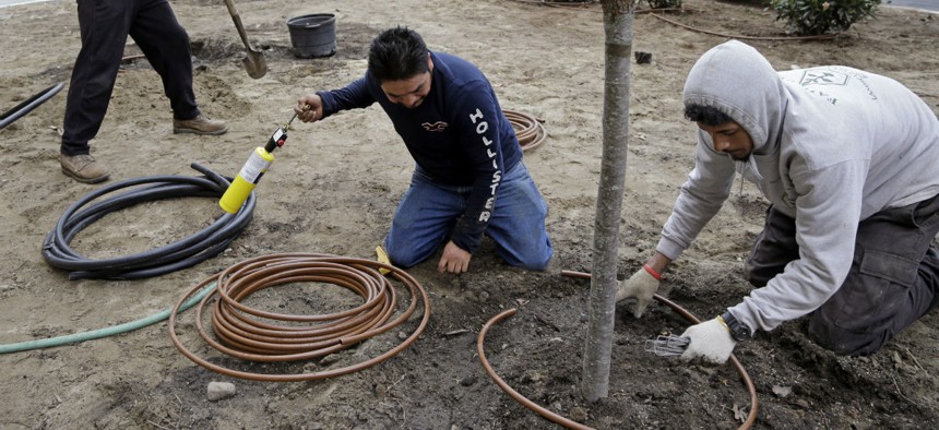 Workers hired through the H-2B visa program install an irrigation system in Manchester, N.H. 