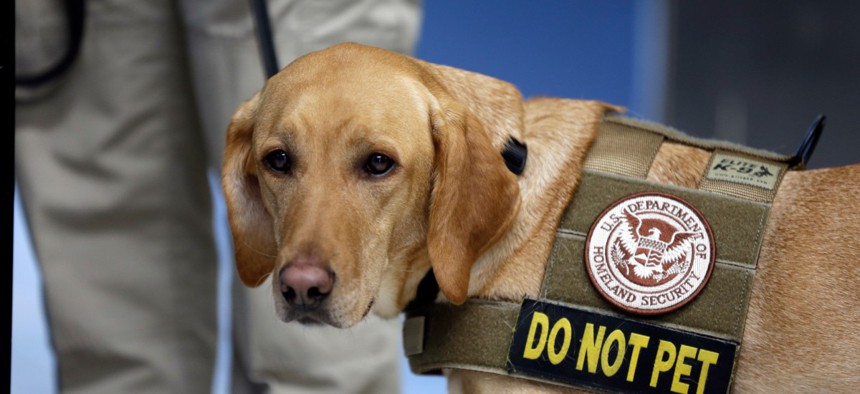 Eette, a Labrador Retriever and Vizslas mix, stands next to her handler, TSA inspector Jasmine Bourne, before heading to a security checkpoint for a demonstration in 2016.