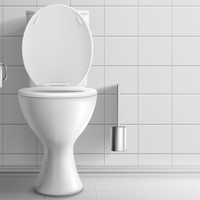 A smart toilet could identify you by your 'analprint' and detect