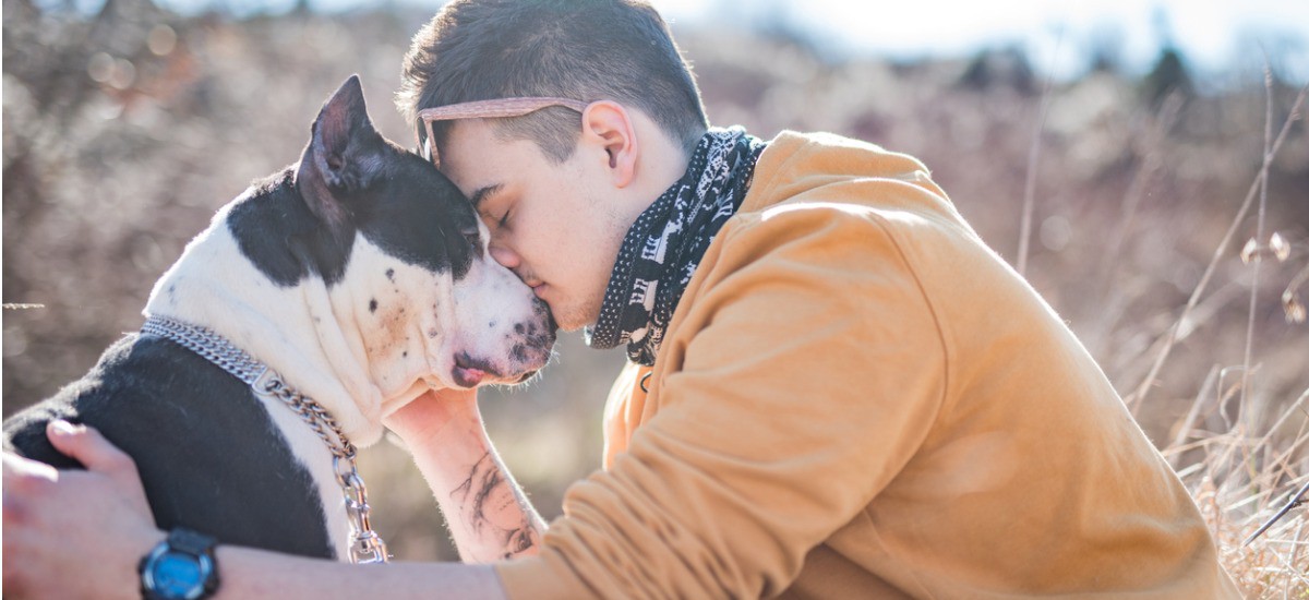 how service dogs help veterans with ptsd