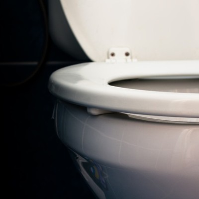 Smart Toilet Pipes Scan Poop to Gauge Bowel Health - Nextgov/FCW