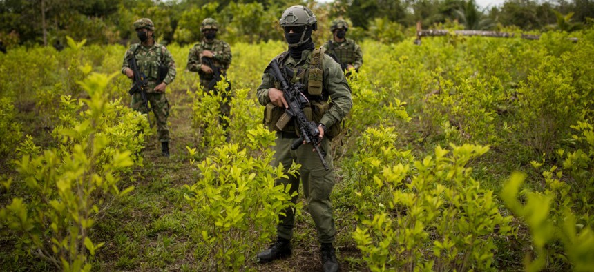 Police and soldiers stand on a coca field during a manual eradication operation in Tumaco, southwestern Colombia, Wednesday, Dec. 30, 2020. 