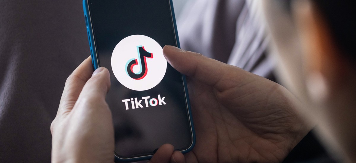 Omnibus bill bans TikTok on government phones just as the app is