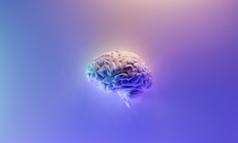 A digital rendering of the human brain. 