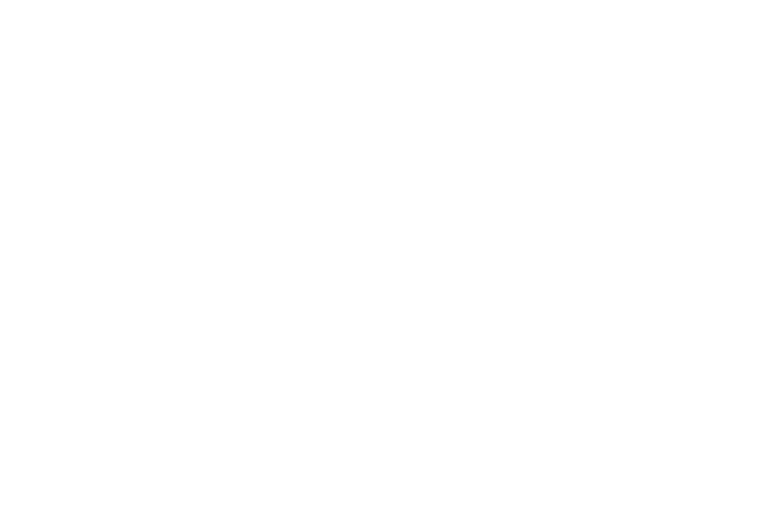 Booz Allen White Logo's logo