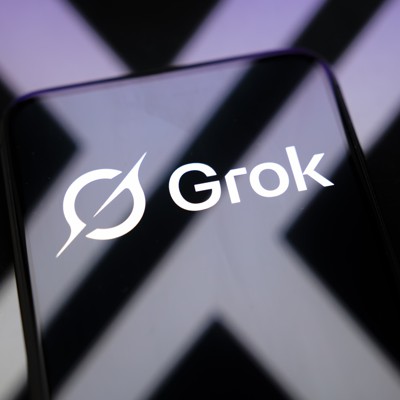 Government Directs Users To Musk's Grok