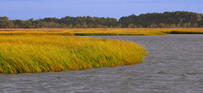 Coastal marshes along Chesapeake Bay and Back River in Poquoson, Virginia.