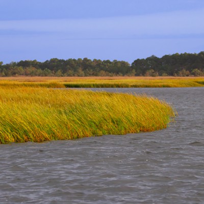A NOAA-backed tool shows the hidden value of healthier shorelines