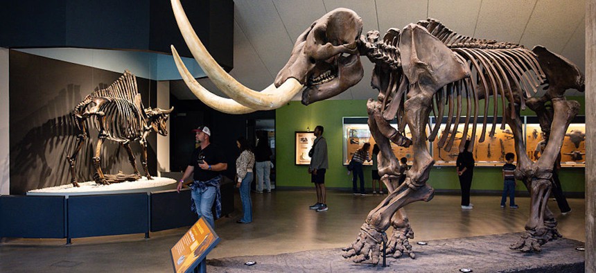 Visitors look at dinosaur fossil skeletons at the La Brea Tar Pits and Museum on Thursday, May 28, 2026, in Los Angeles, CA.
