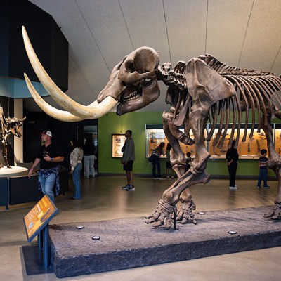 To Ben Lamm, extinction is just an engineering problem