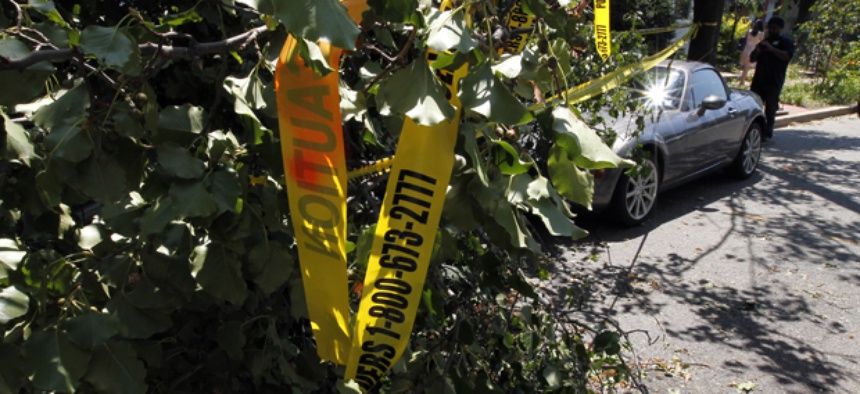 Trees were uprooted in the Washington, DC area over the weekend including this one on Capitol Hill.