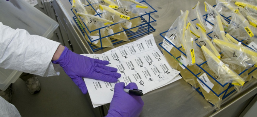 An FDA worker checks samples for salmonella.