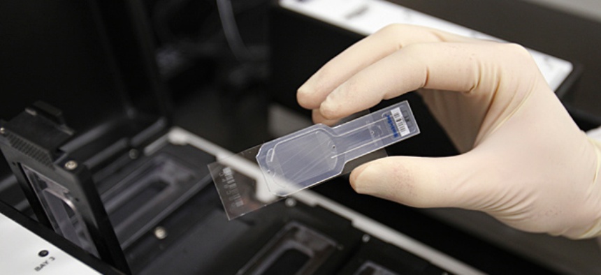A slide prepared for testing for biological hazards.