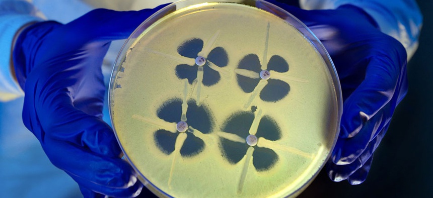 A CDC scientist holds up a petri dish during an experiment involving Carbapenem-resistant Enterobacteriaceae.