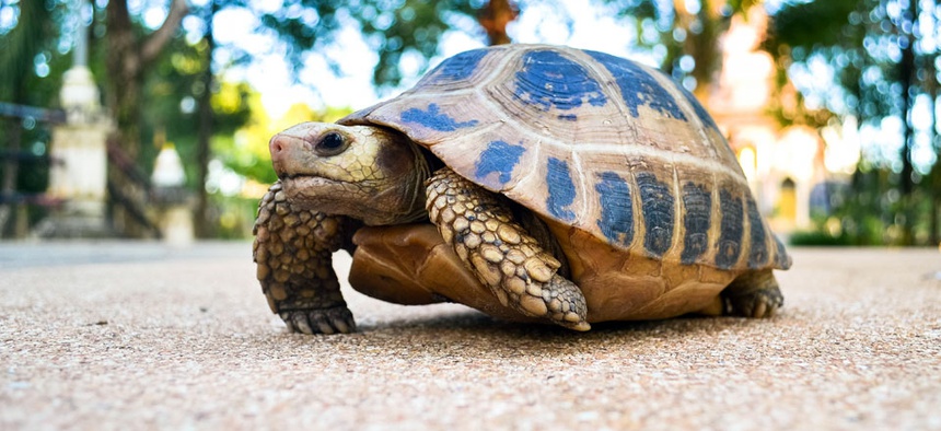 Agencies can be very slow to respond to cyber attacks.