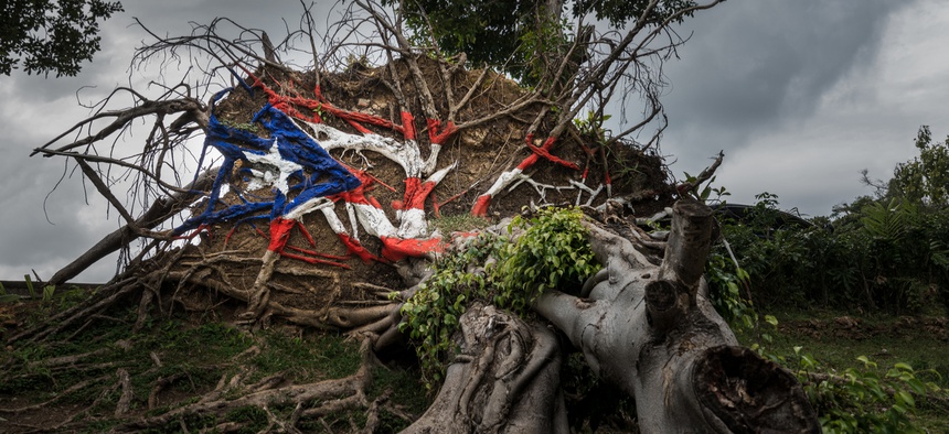 A tree uprooted by Hurricane Maria in San Juan has been painted like the Puerto Rico flag.