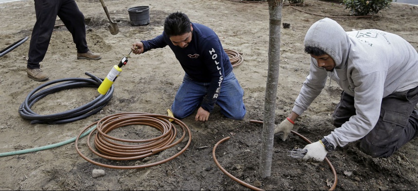 Workers hired through the H-2B visa program install an irrigation system in Manchester, N.H.