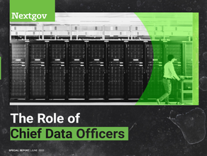 The Role of Chief Data Officers