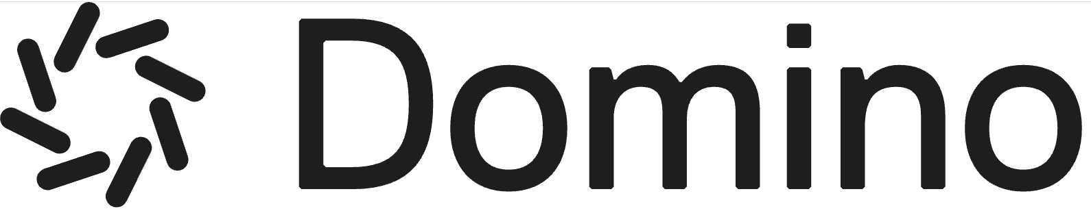 Domino Data logo